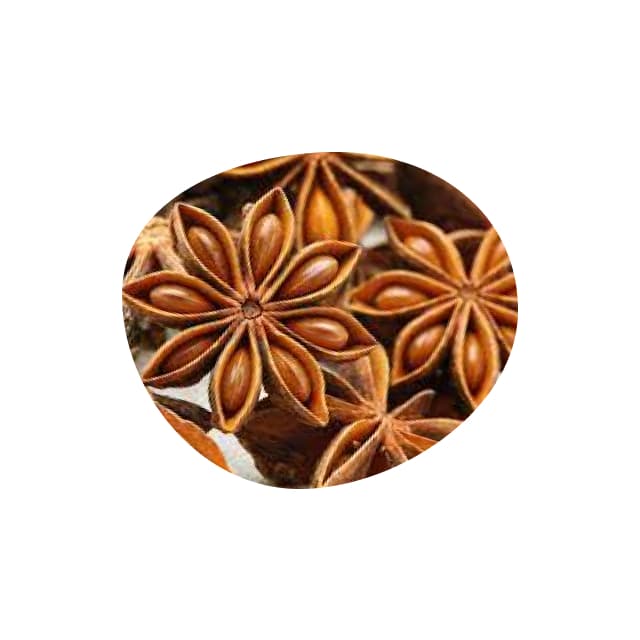 Star anise seeds